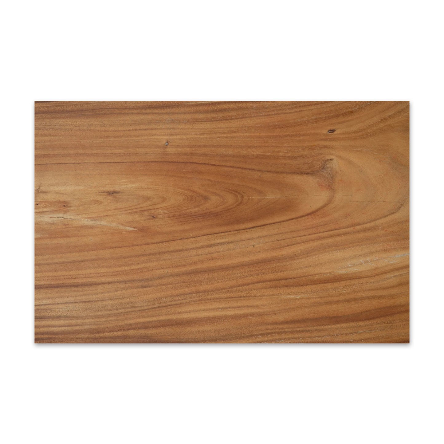 Wood Slice Paper Placemats Disposable Dining Paper Placemats Disposable 24pack One Time Use Placemats for Dining Table