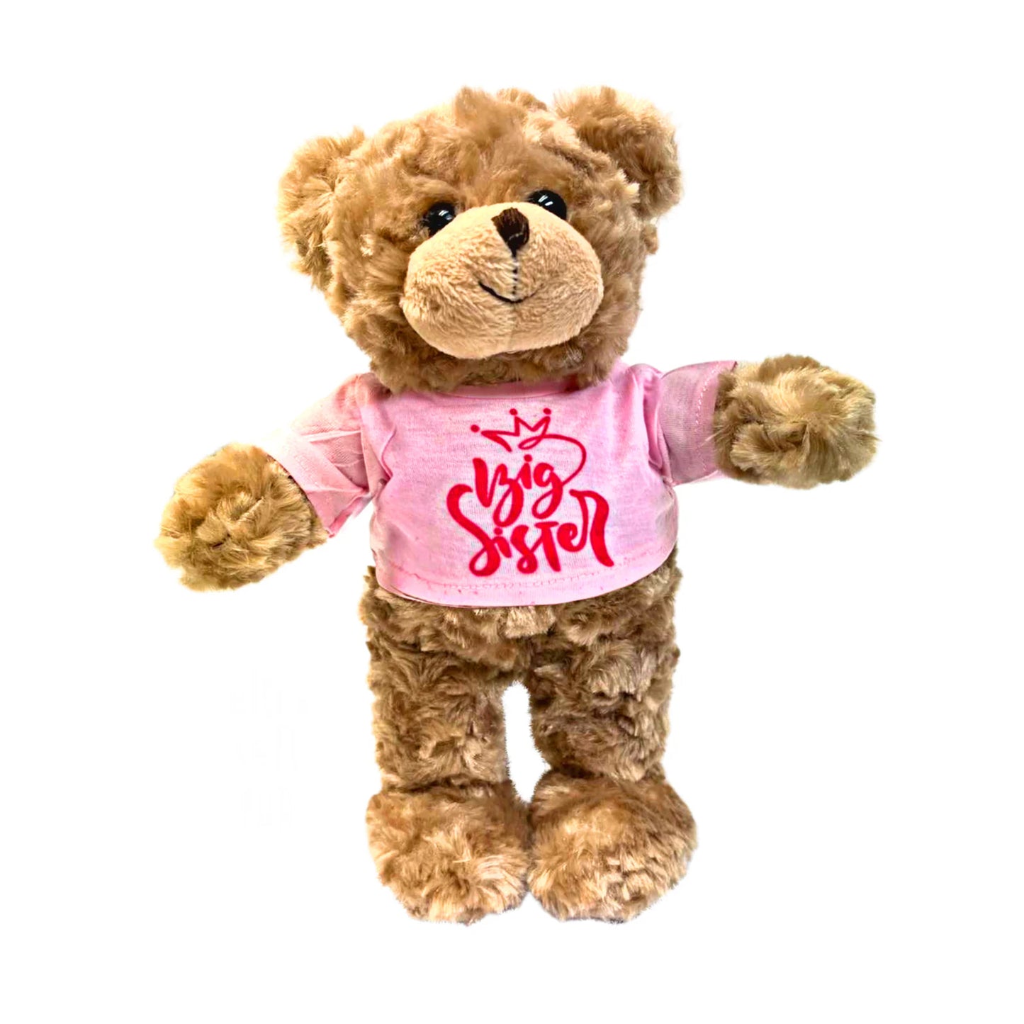 Teddy Bear Stuffed Animal Big Sister Plush for Little Girls, Toddlers I'm a Big Sister Gift, 10 Inches