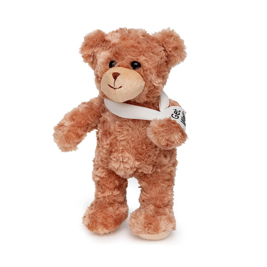 Recovery Bear Gifts for Kids and Adults, Teddy Broken Arm Broken Leg, Get Well Stuffed Animal Teddy Bear with Left or Right Arm Cast Sling 10.5 inches (Broken Arm Teddy Bear)