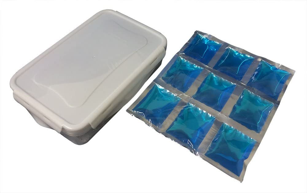 Nicole Miller 11" Insulated Lunch Box/Portable Cooler Tote with Sandwich Container and Ice Pack